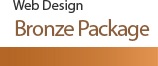 Website Design Bronze Package $265