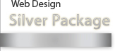 Website Design Silver Package $595